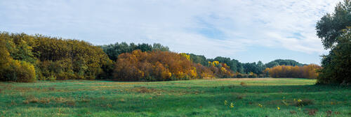 Autumn field